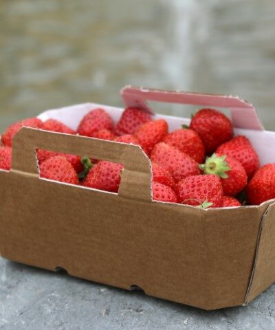 A la recherche de solutions d’emballage pour vos fruits et légumes ?