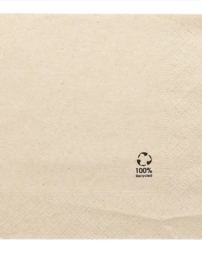 Serviettes recyclées 30x30 cm 2 plis