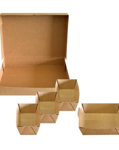 Plateau repas carton 4 barquettes